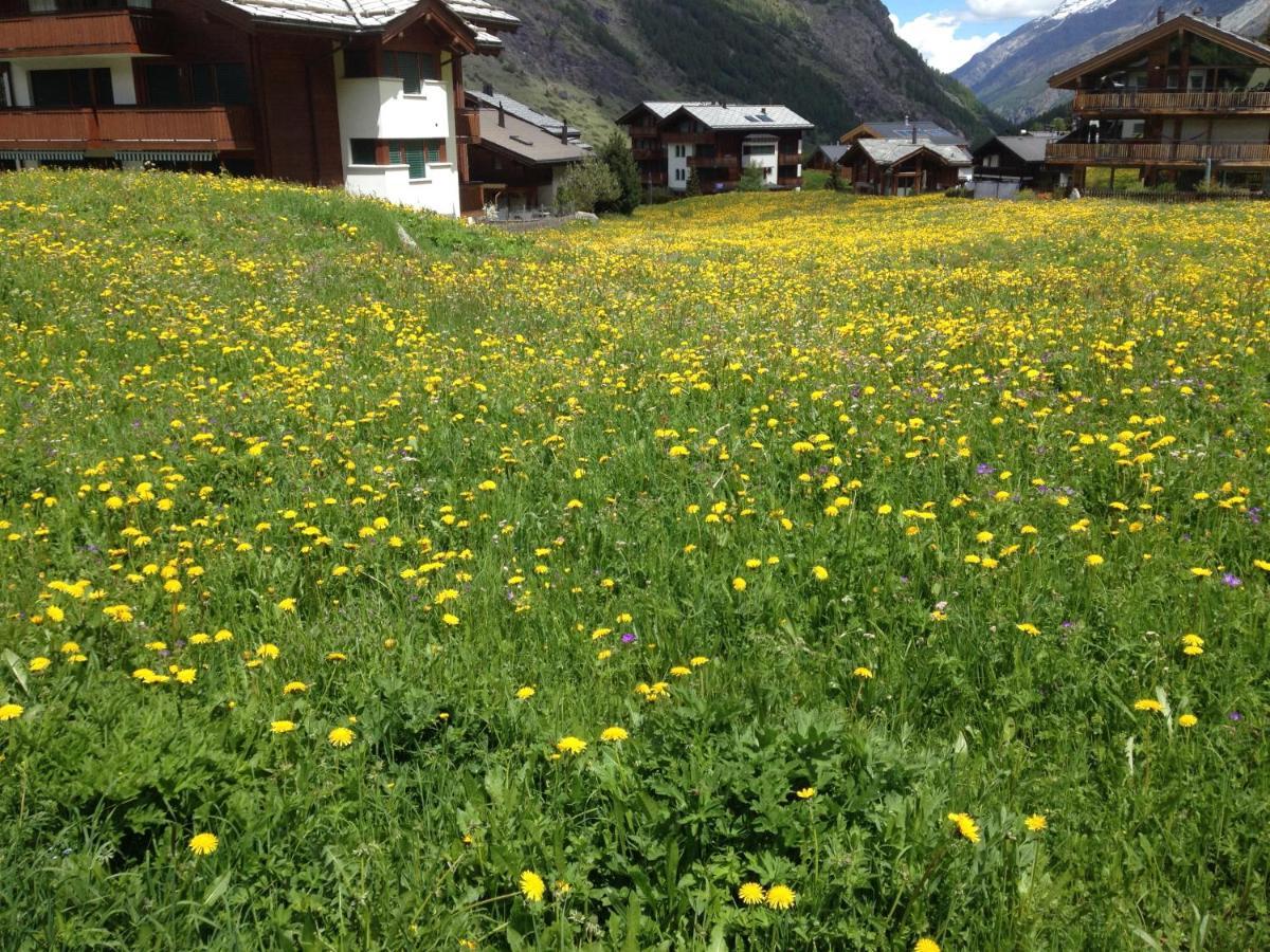 Haus Marico Apartment Zermatt Exterior photo